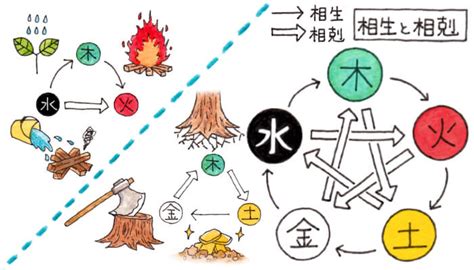 木剋金|第24回 木火土金水の正しい関係（相生と相剋） 